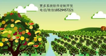植物大战僵尸免费游戏打开就能玩 植物大战僵尸免费游戏