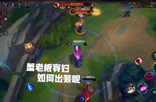 十五人小游戏 10 15人的小游戏
