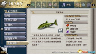口袋妖怪红宝石手机版 口袋妖怪之红宝石ep2