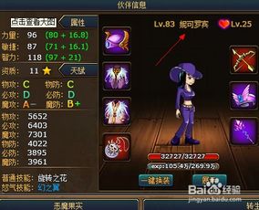 热血海贼王主角进阶（热血海贼王进阶攻略）