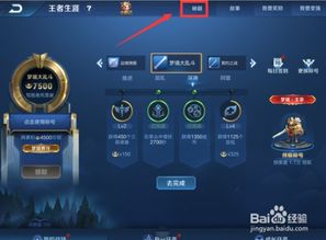 风色幻想3怎么在手机玩 风色幻想3怎么使用秘籍