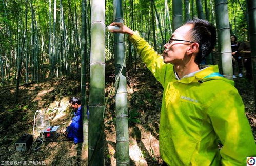 传奇手游推荐排行 传奇手游排行榜2022前十名