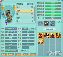 神武70级