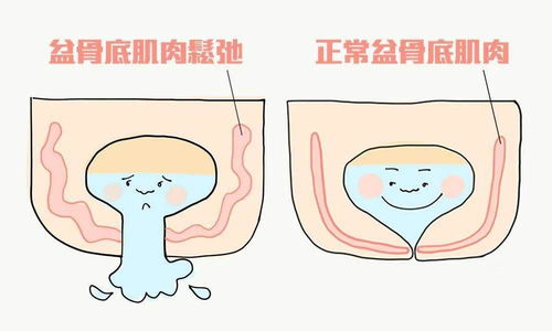口袋妖怪日月模拟器下载 口袋妖怪日月模拟器