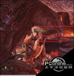 全球游戏排行榜前十2020 游戏全球排行榜前十名